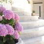 Горящие туры в отель Apartments Nine Slano  - 5