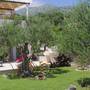 Горящие туры в отель Apartments Nine Slano  - 3