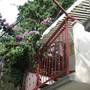 Горящие туры в отель Apartments Diocletian  - 5