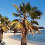 Горящие туры в отель Lux Split Apartments - 1