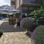Горящие туры в отель Yuzhni Noshti Hotel - 4