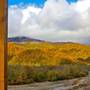 Горящие туры в отель Chalets Shcherbina - 5