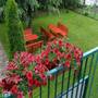 Горящие туры в отель Apartments Radovic  - 2