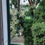 Горящие туры в отель Apartments Miranda  - 2