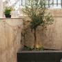 Горящие туры в отель Apartments Marinac  - 6