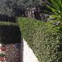 Горящие туры в отель Apartments Antoana  - 5