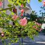 Горящие туры в отель Villa Sandra Hvar  - 1
