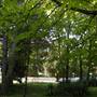 Горящие туры в отель Park Hotel Persey - 4