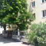 Горящие туры в отель Omladinski Hostel  - 5