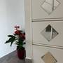 Горящие туры в отель Apartments Simoni  - 3
