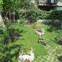 Горящие туры в отель Guesthouse Vrlic  - 4