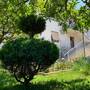 Горящие туры в отель Apartments Bilic  - 5