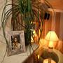 Горящие туры в отель Hotel Vila Sikaa - 2