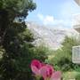 Горящие туры в отель Apartments Ivana  - 3