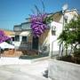 Горящие туры в отель Apartments Ivona - 2