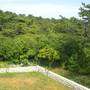 Горящие туры в отель Apartments Luana  - 6