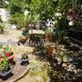Горящие туры в отель Apartments Ella  - 1