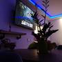 Горящие туры в отель Apartments Ella  - 5
