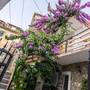 Горящие туры в отель Apartments Sara  - 2