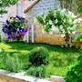Горящие туры в отель Apartments Neno  - 5