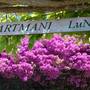 Горящие туры в отель Apartmani LuNa  - 3
