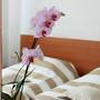 Горящие туры в отель Hotel Dujam  - 4
