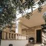 Горящие туры в отель Villa Petra  - 6