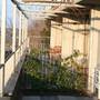 Горящие туры в отель Vila Valeta  - 3