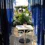 Горящие туры в отель Villa Rosa  - 6