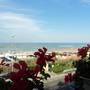 Горящие туры в отель Hotel Ristorante Miramare  - 1