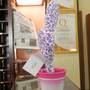 Горящие туры в отель Torreata Residence Hotel - 4