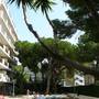Горящие туры в отель Mediterranean Suites  - 3