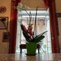 Горящие туры в отель Cortile Palermo B&B  - 2