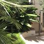 Горящие туры в отель Ucciardhome Hotel  - 1