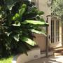 Горящие туры в отель Ucciardhome Hotel  - 3