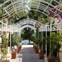 Горящие туры в отель Danai Beach Resort & Villas - 6