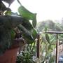 Горящие туры в отель B&B Notarbartolo  - 5