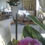 Горящие туры в отель B&B Notarbartolo  - 6