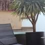 Горящие туры в отель Hotel Constanza - 4