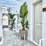 Горящие туры в отель Damianos Mykonos Hotel  - 6