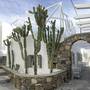 Горящие туры в отель Damianos Mykonos Hotel  - 3