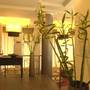 Горящие туры в отель Minoa Athens Hotel - 1