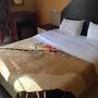 Горящие туры в отель Alexandria Hotel  - 6