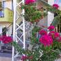 Горящие туры в отель Lilalo Hotel  - 6
