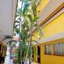 Горящие туры в отель Suites Cancun Center - 3