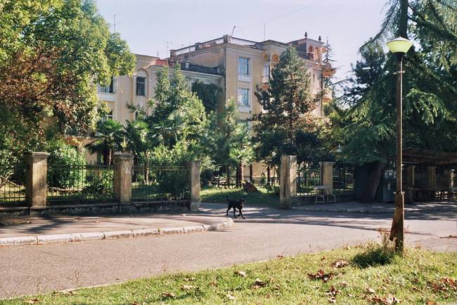 Синоп