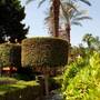 Горящие туры в отель Cairo Marriott Hotel & Omar Khayyam Casino - 6