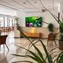 Горящие туры в отель The San Anton Hotel - 3