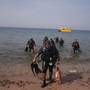 Горящие туры в отель International Arab Dive Center  - 5