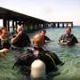 Горящие туры в отель International Arab Dive Center  - 6